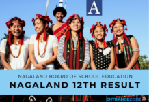 Nagaland 12th Result 2024: Check NBSE HSSLC Result Nagaland 12th result 2020