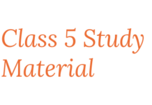 Class 5 Study Material 2025 – NCERT Solutions for English, Hindi, Maths, EVS Class 5 Study Material