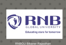 RNB Global University Bikaner Admission 2021(Ongoing) RNB Global University